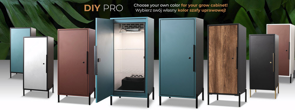 Growbox Pflanzen
